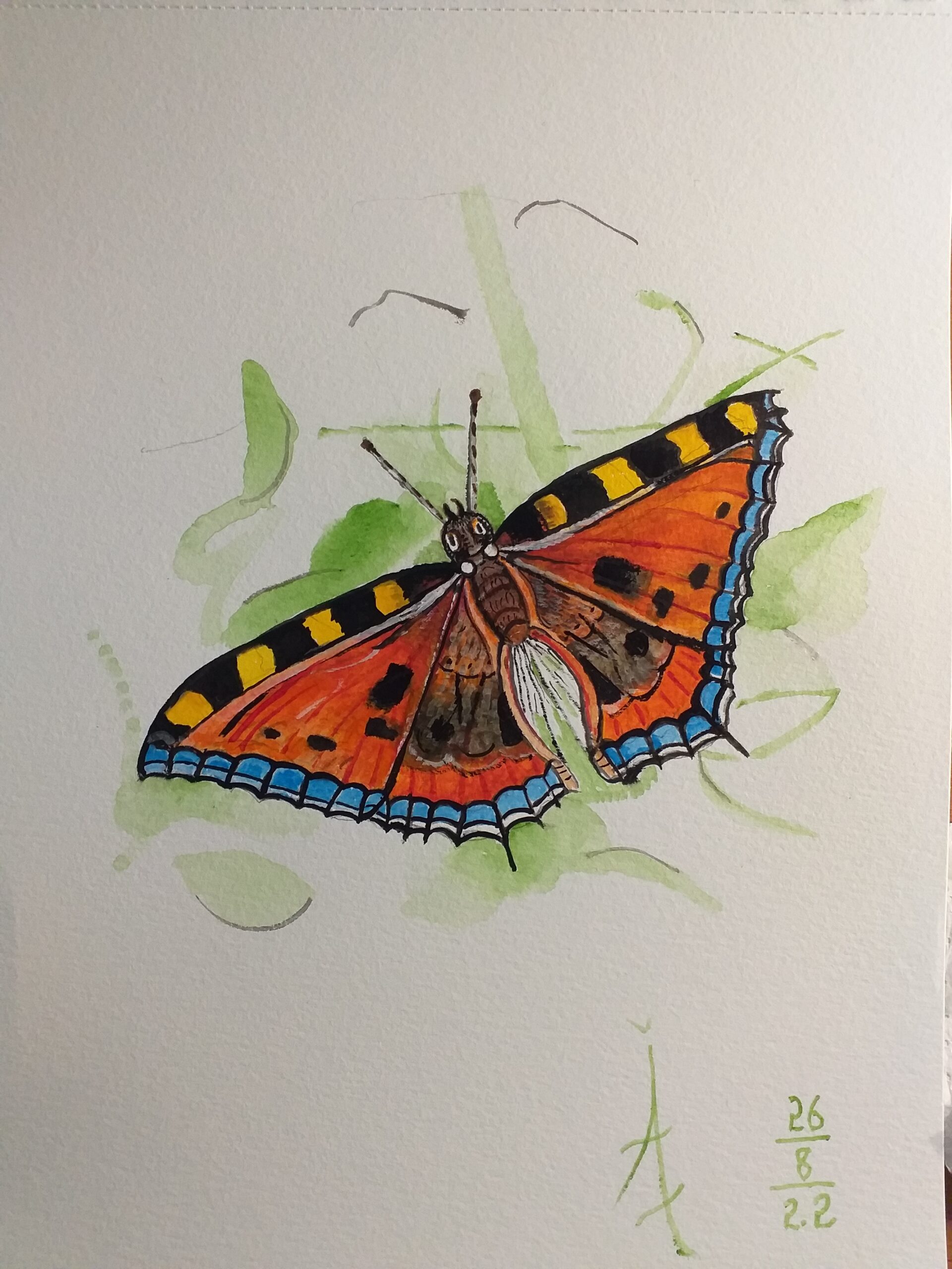 Butterfly - Fine Art Painting - Irish Art – Steven Farrell Art